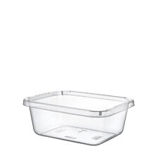 Clear Plastic Basin Rectangle